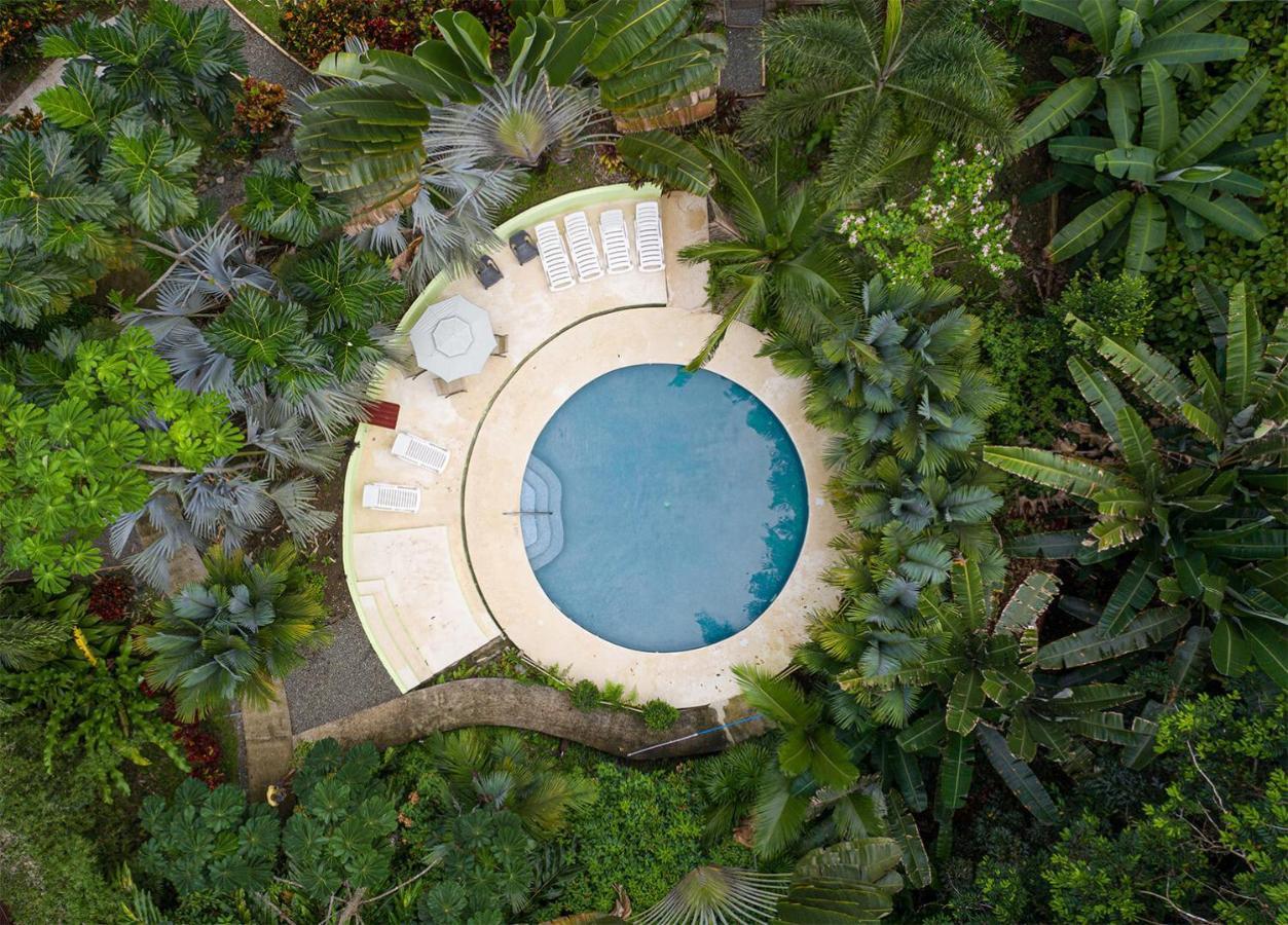 Las Palomas Villas Cocles Exterior foto