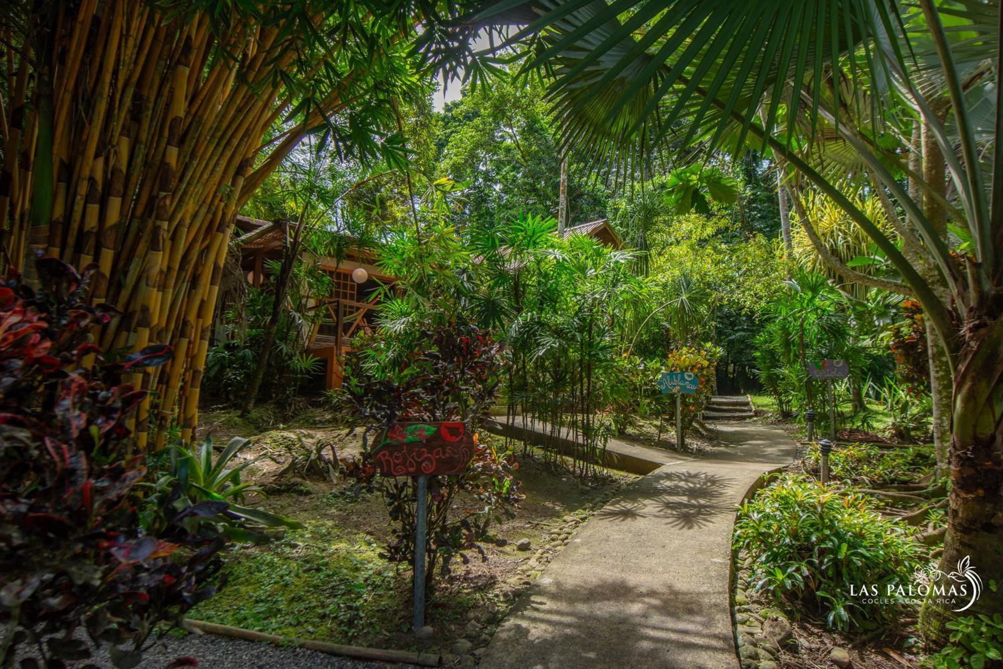 Las Palomas Villas Cocles Exterior foto
