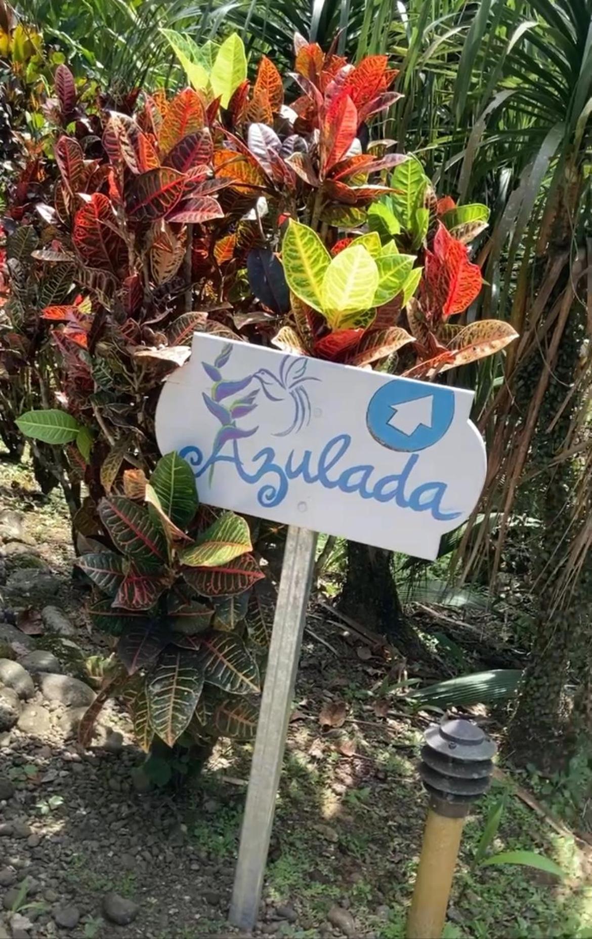 Las Palomas Villas Cocles Exterior foto
