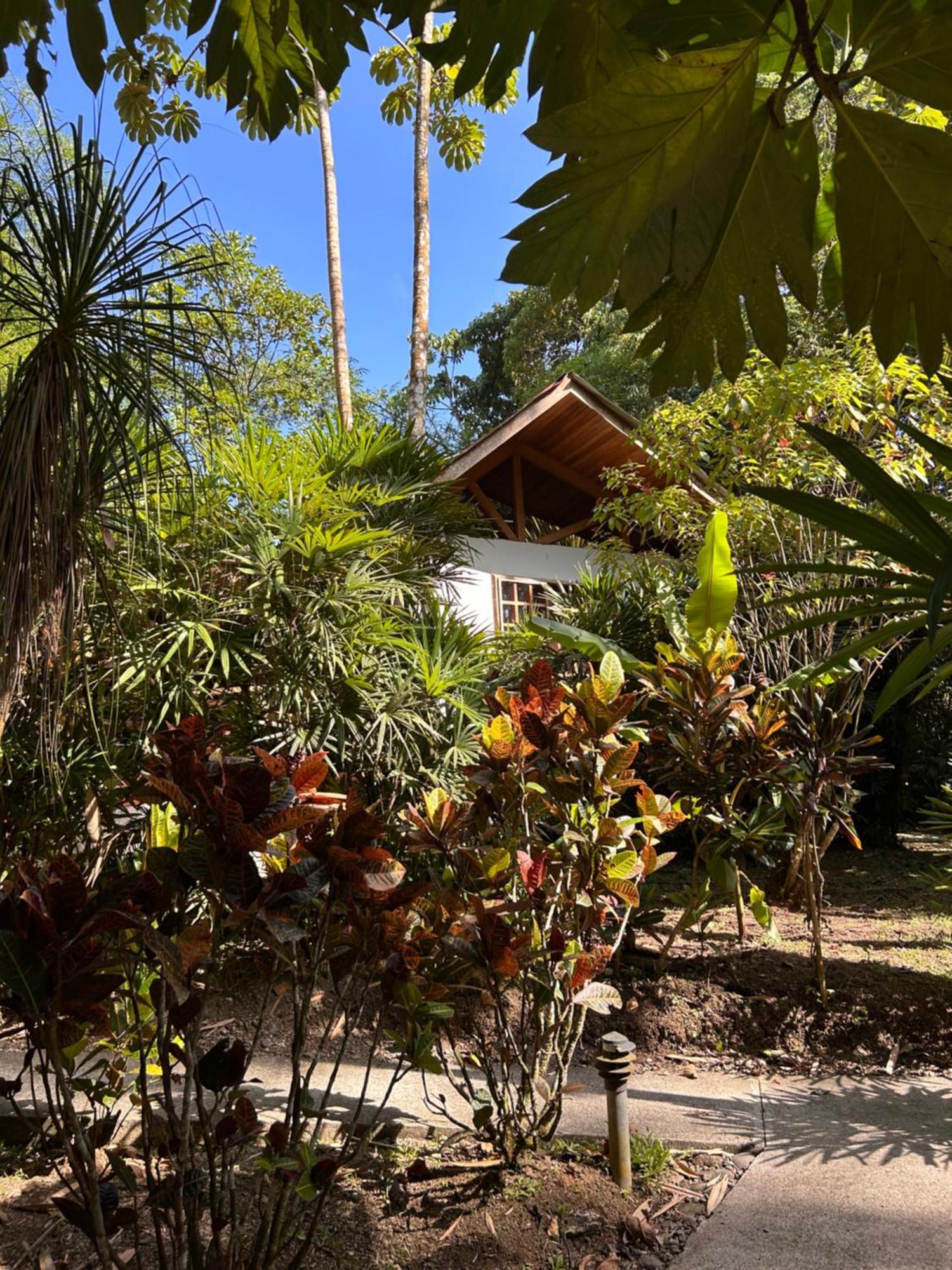 Las Palomas Villas Cocles Exterior foto