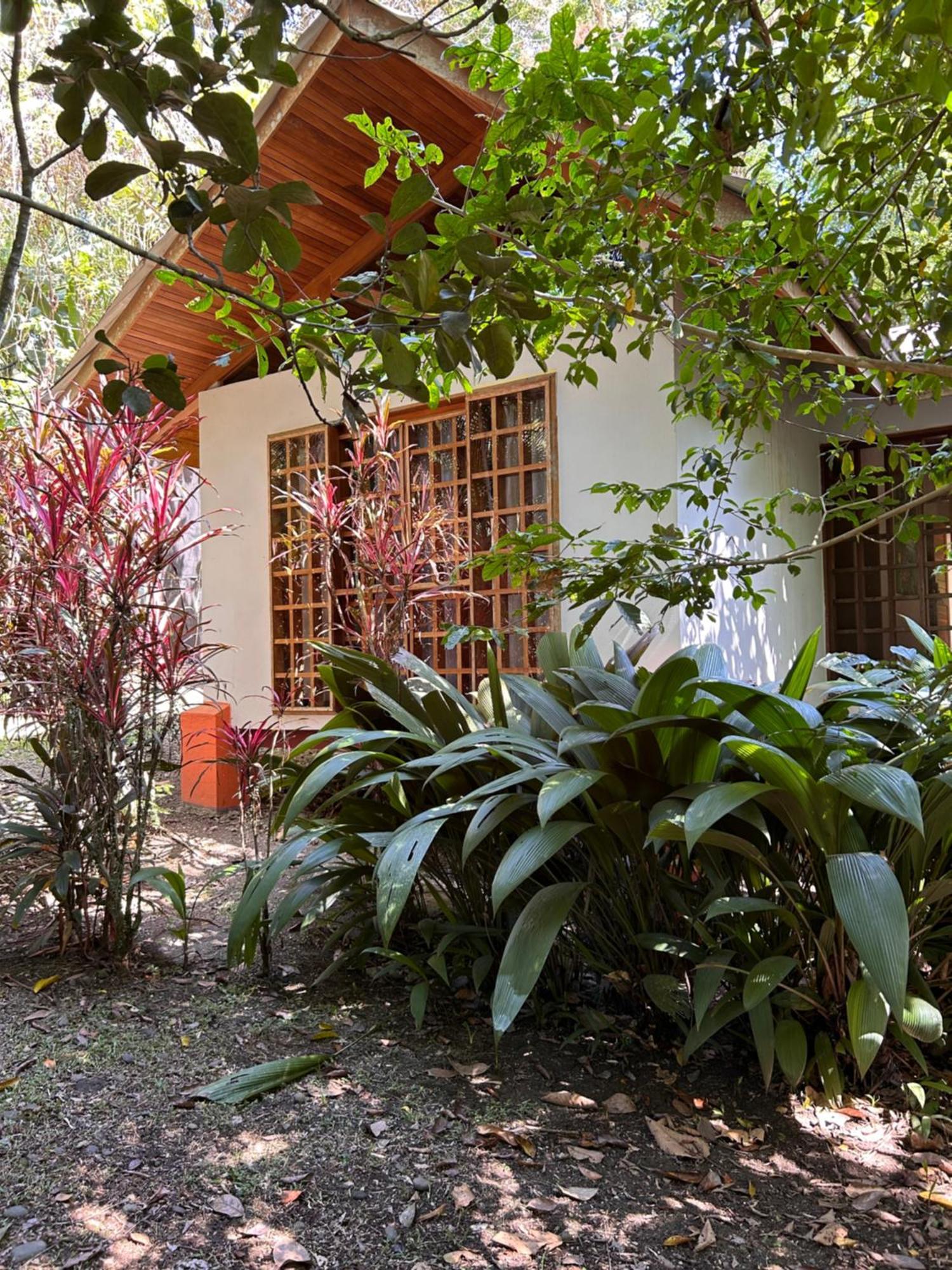 Las Palomas Villas Cocles Exterior foto